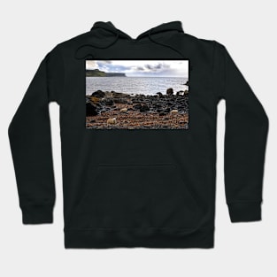 Sheep feeding on seaweed, Skye Hoodie